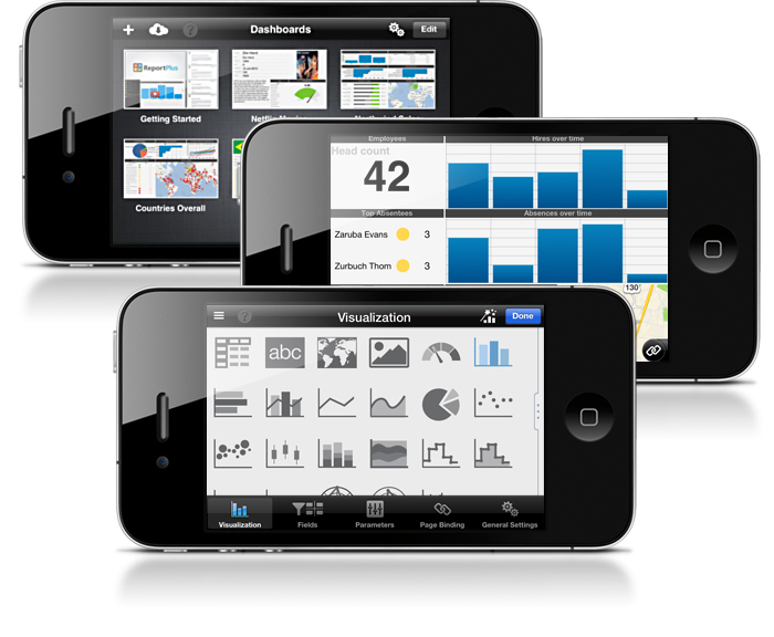 13.1 ReportPlus iPhone Support 13.1 ReportPlus iPhone Support