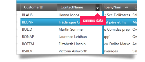 Scroll, pin and move data around using the WPF grid fixed headers, pinned rows and moveable columns feature.