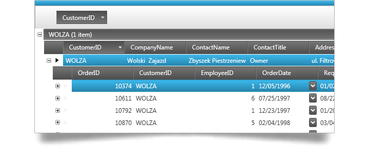 Sort and group WPF grid data using the sorting and grouping feature.