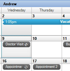 Schedule appointments that span multiple days at a time.
