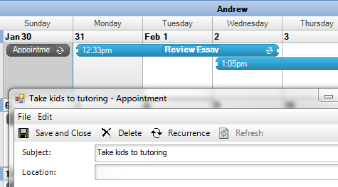 Enter new appointments and adjust existing appointments with the full calendar functionality provided.