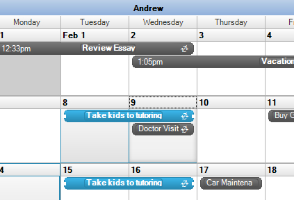 Schedule appointments with any recurrence combination.