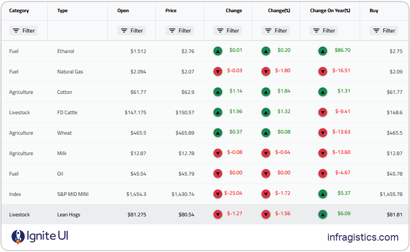 Ignite UI grid