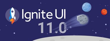 Ignite UI for Angular 11.0.0 Release