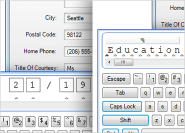 Windows Forms Ink Provider