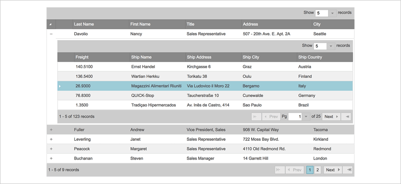 Ignite UI Scale Settings