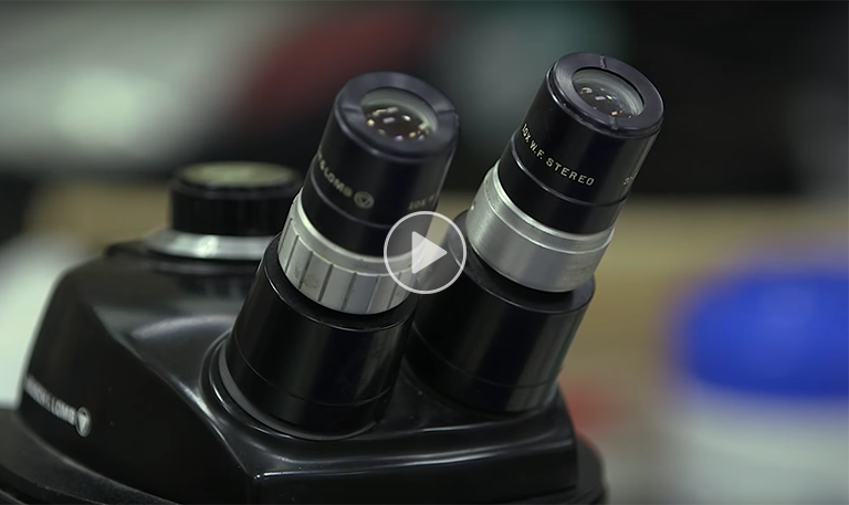 Keysights Technology