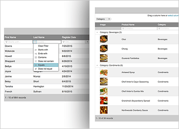 Ignite UI Data Grid