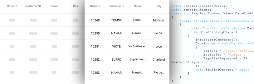 Xamarin Dat Grid: Data Source