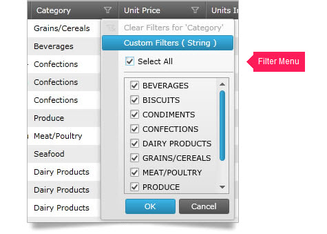 View a subset of data within a table by using the Silverlight grid filtering feature.