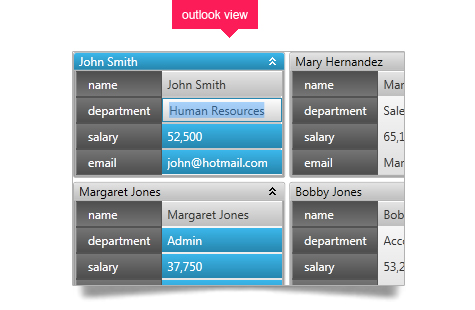 The WPF data presenter allows for data cards to be viewed in an Outlook-type contact card view.